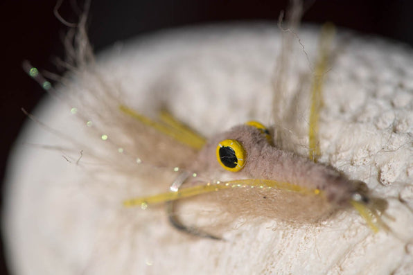 Mexico Fly Fishing shrimp fly pattern