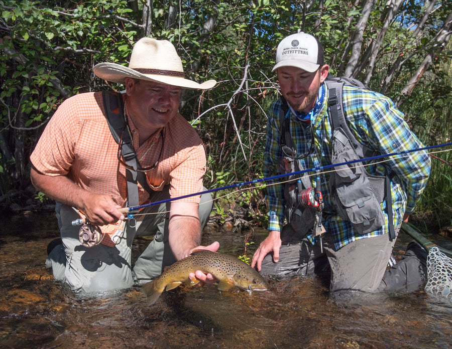 Tipping Fly Fishing Guides: Complete Overview