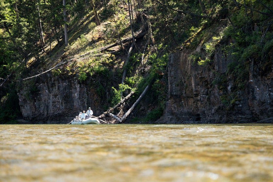 Montana Fly Fishing Trips on Freestones vs. Tailwaters