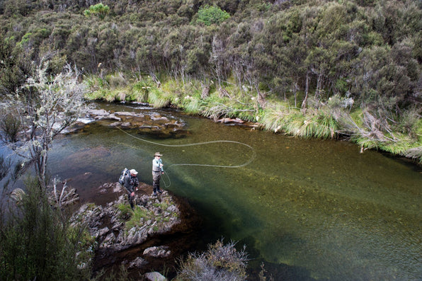 Hunting & Stalking Trophy Brown Trout in New Zealand's Backcountry