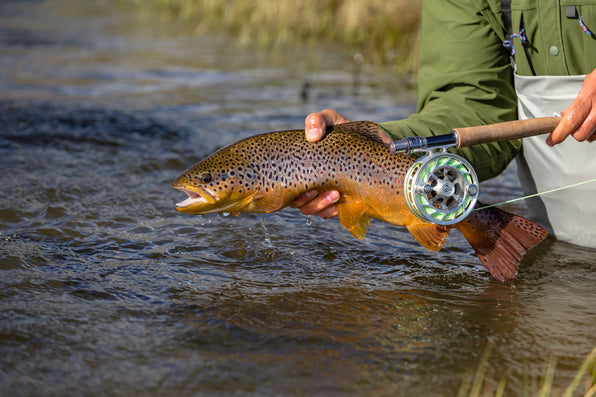 5 Perfect Wade Fishing Destinations in Patagonia