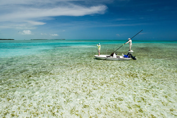 A Guide to the Fisheries of Cuba