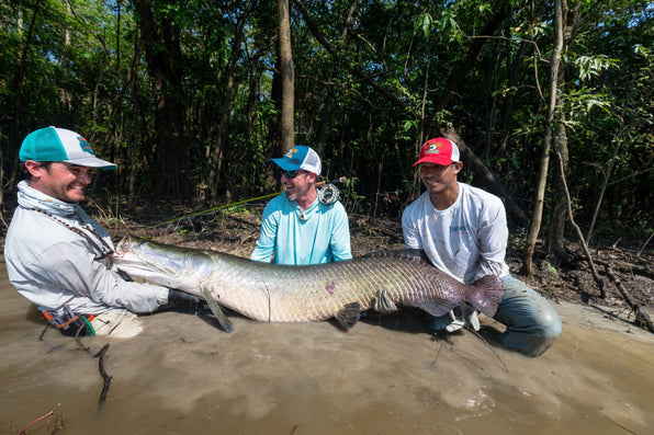 The Top 5 Best Arapaima Flies