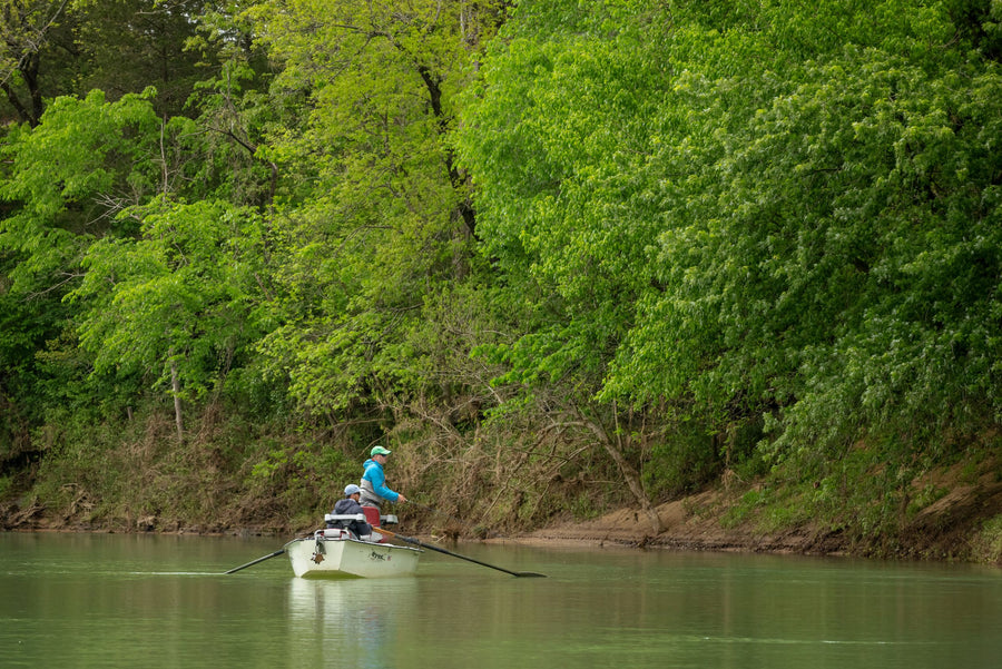 A Guide to Arkansas' Fly Fishing Seasons