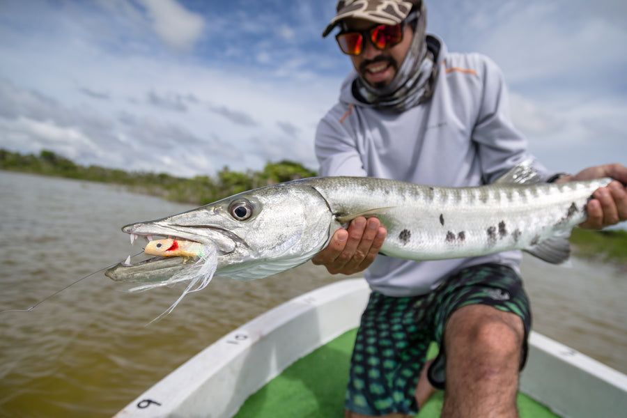 Fly Fishing for Barracuda: Tackle, Flies, and Techniques