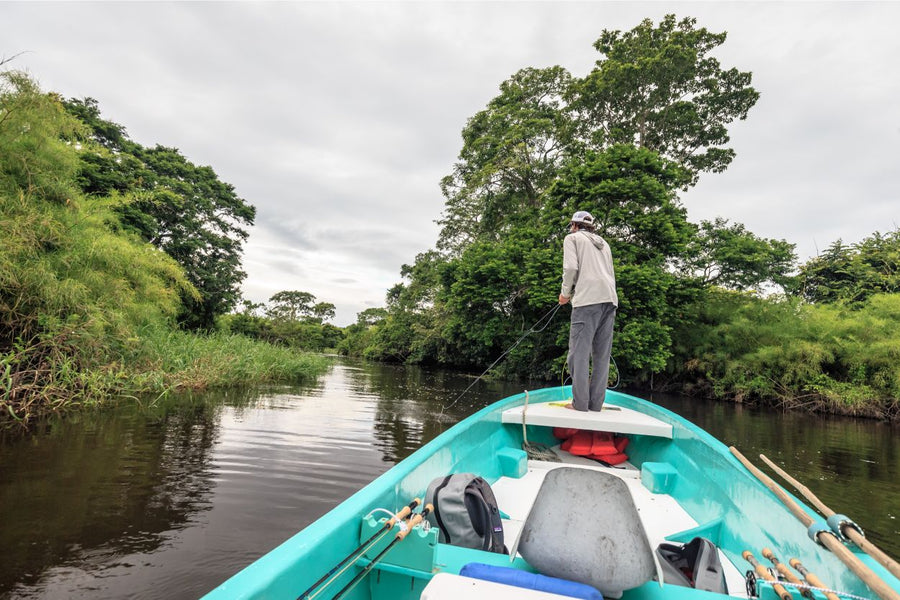 Belize Fly Fishing Tarpon