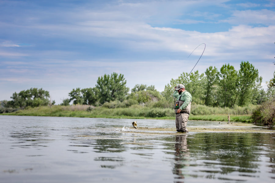 Montana: Overview of the Missouri, Bighorn, Madison, and Yellowstone Rivers