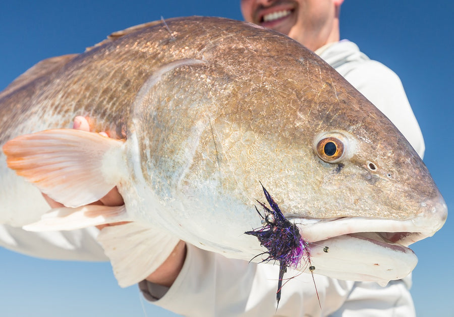 The Best Fly Fishing For Redfish Tips You Can't Miss