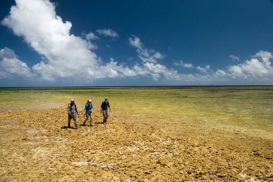 Guide Talk: How a Fly Fishing Guide Prepares for the Seychelles