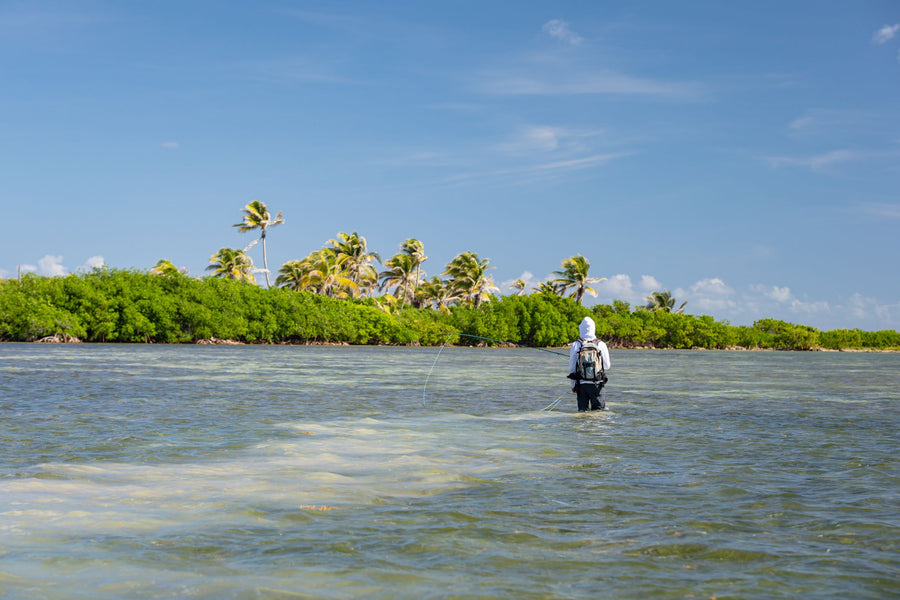 Perfecting Your Bonefish Fly Presentation and Hook Set