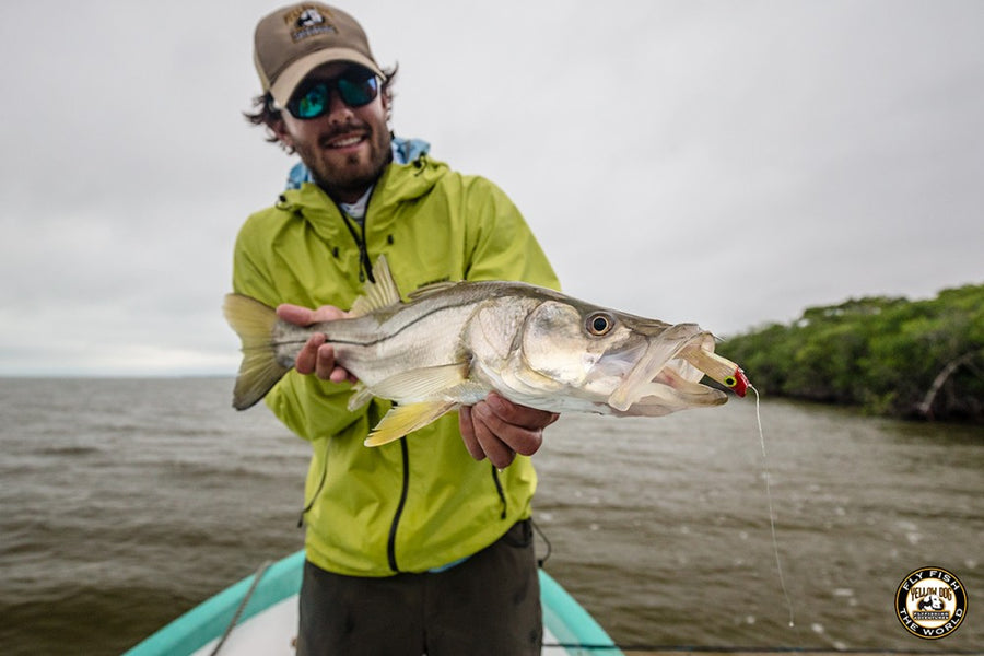 LIVE FROM THE FIELD: BELIZE RIVER LODGE, BELIZE