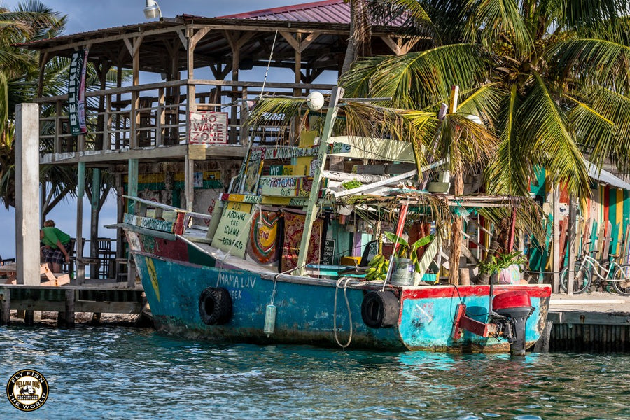 BELIZE FIELD REPORT - DAY ONE AND TWO