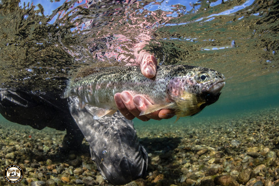 Beginner Trip Series: North America Fly Fishing Trips For Beginners