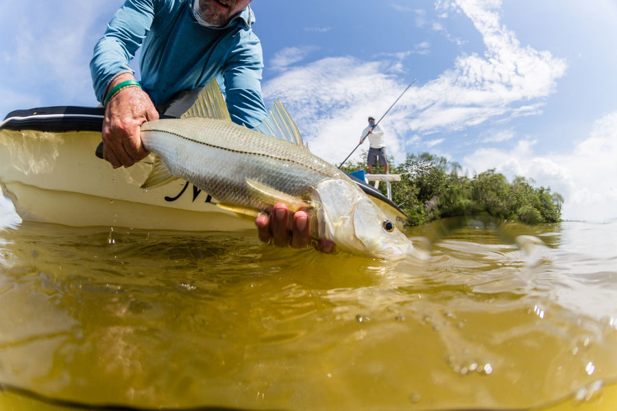 The Best 7 Snook Flies For Fly Fishing