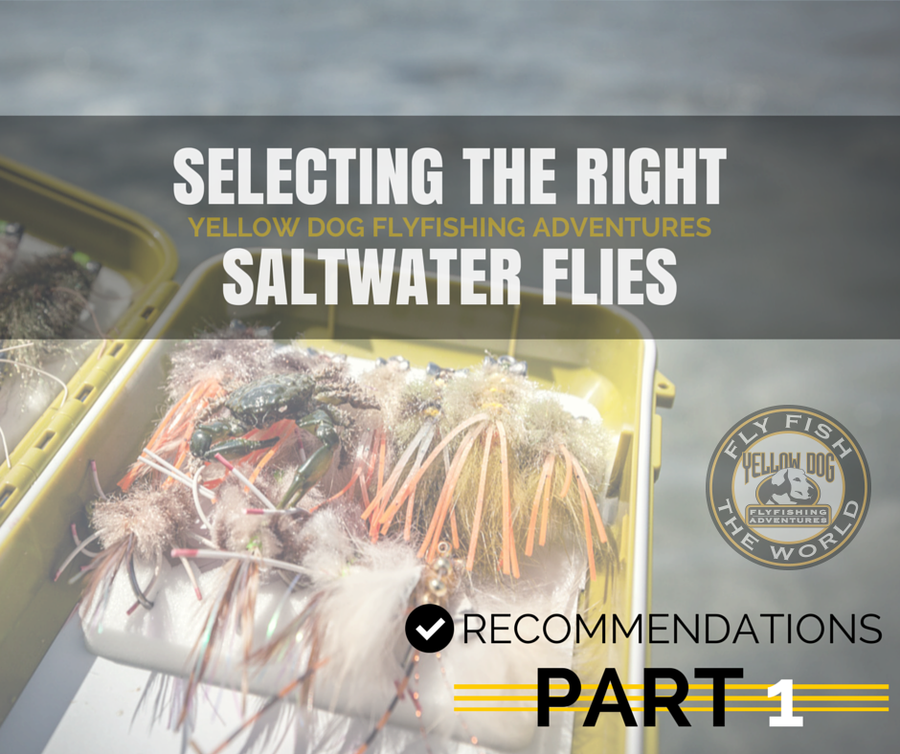 RECOMMENDATIONS ON SELECTING THE RIGHT SALTWATER FLIES | PART 1