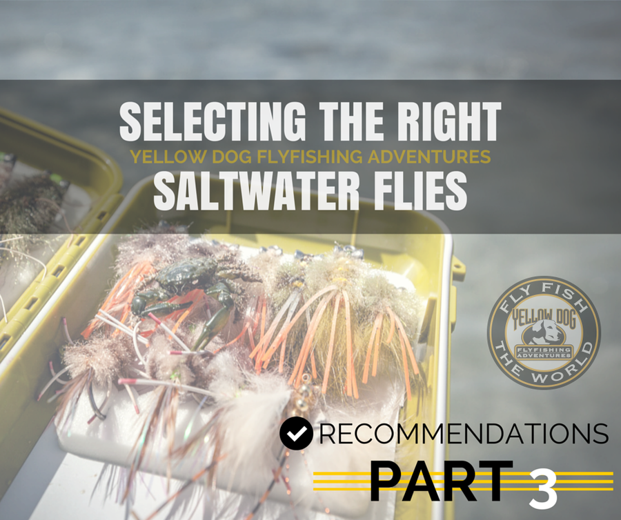 RECOMMENDATIONS ON SELECTING THE RIGHT SALTWATER FLIES | PART 3