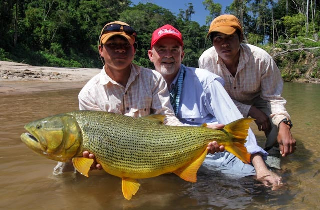 BOLIVIA GOLDEN DORADO | QUICK REPORT