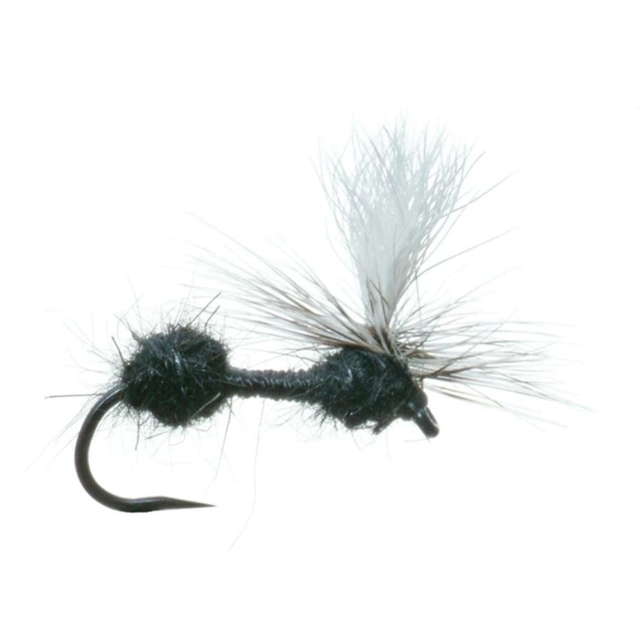 Parachute Ant - Black - Size 18