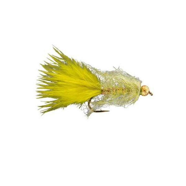 Jelly Leech - Olive - Size 8