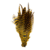 Barred Saddle Hackle