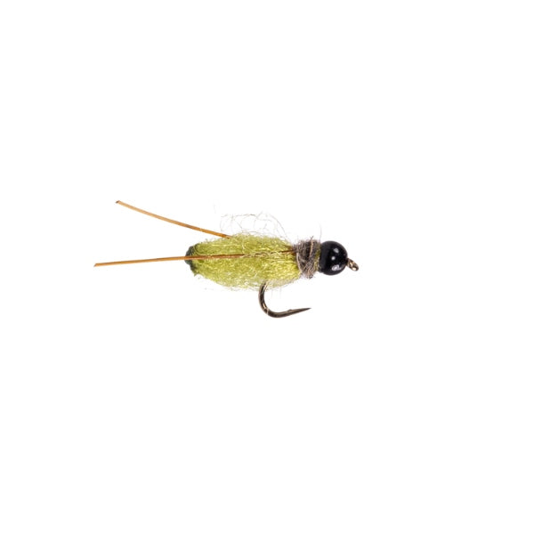 Praire Doggin Pupa - Olive