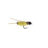 Praire Doggin Pupa - Olive