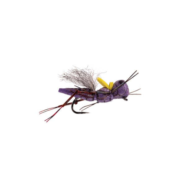 Henneberry Hopper - Purple - Size 10