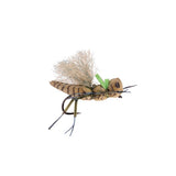 Henneberry Hopper - Green - Size 10