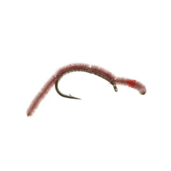 San Juan Worm - Worm Brown - Size 10