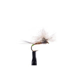 Hecuba Hot Spot Para-Wulff - Size 12