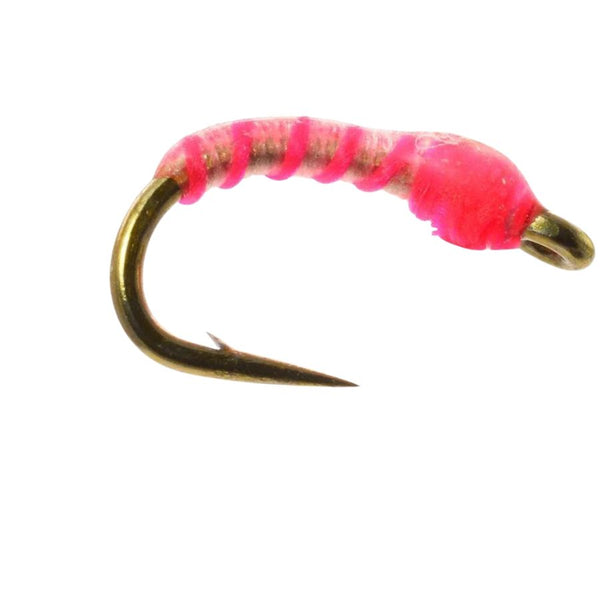 Neon Nightmare - Flourescent Pink - Size 18