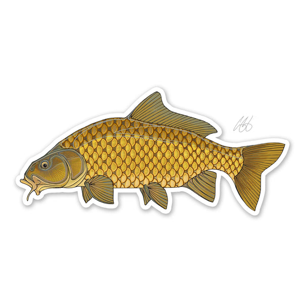 Underwood Common Carp Sticker