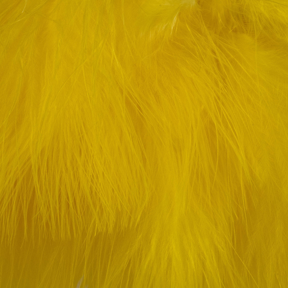 Blood Quill Marabou