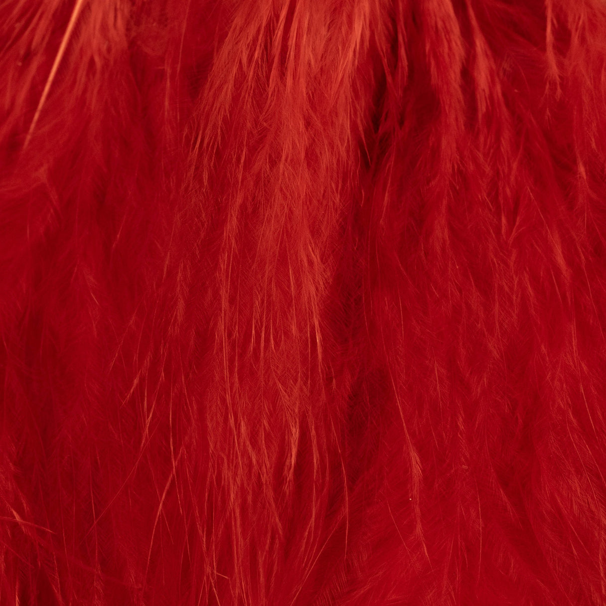 Blood Quill Marabou