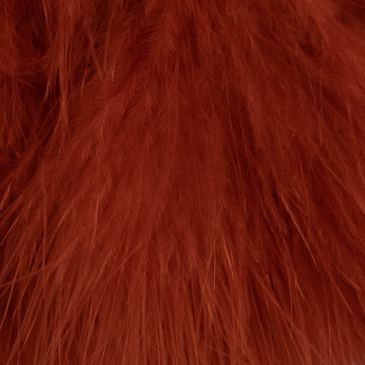 Blood Quill Marabou