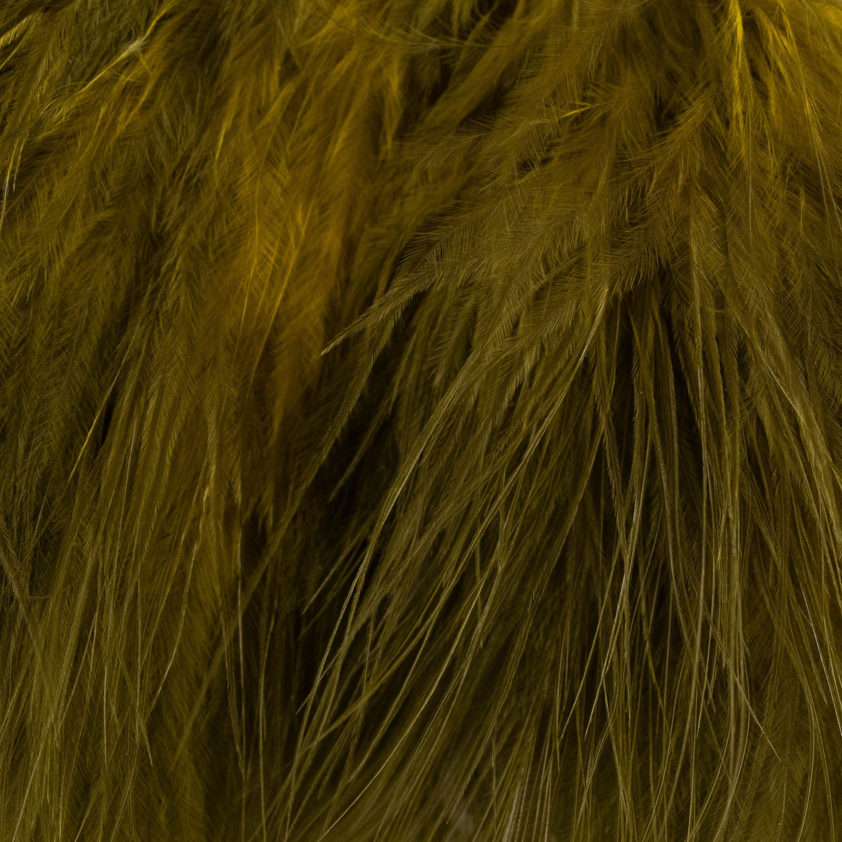 Blood Quill Marabou