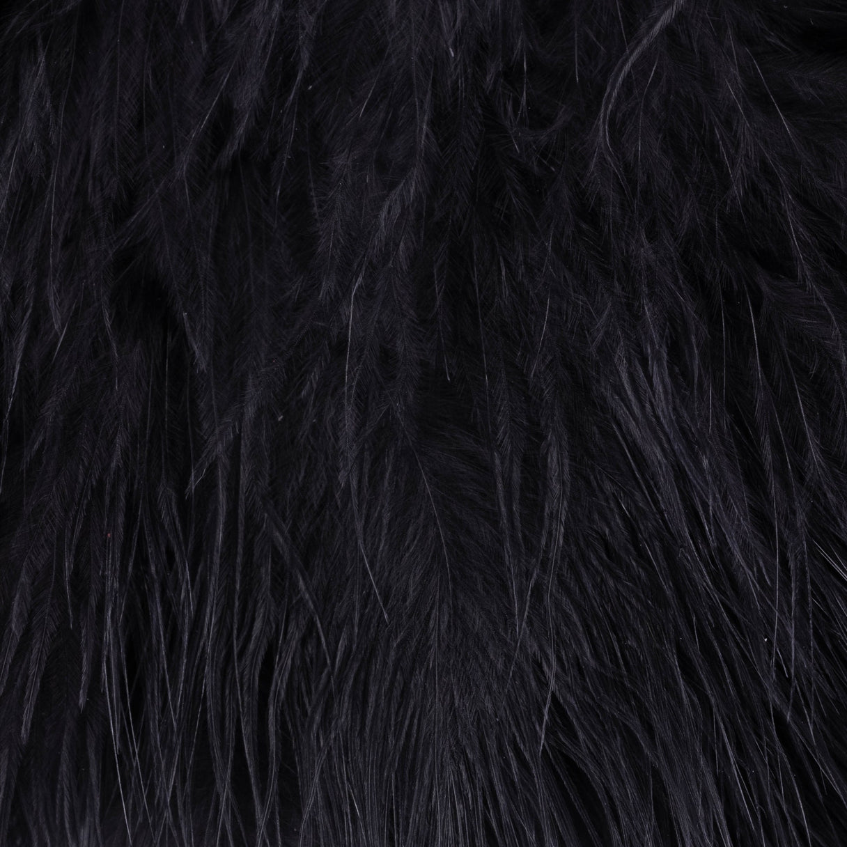 Blood Quill Marabou