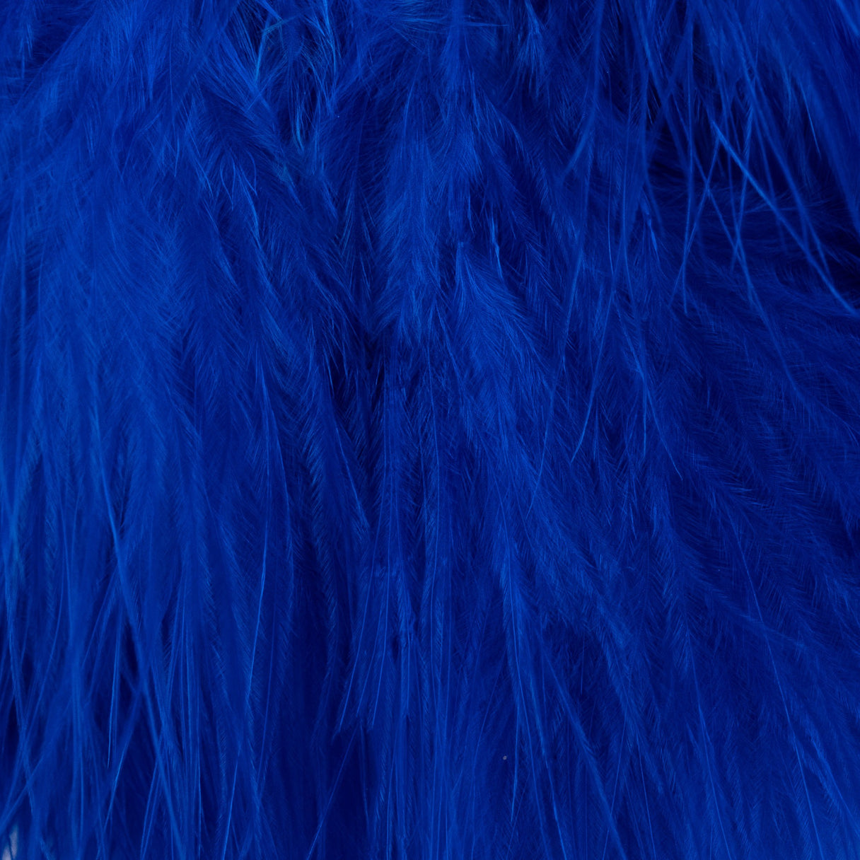 Blood Quill Marabou