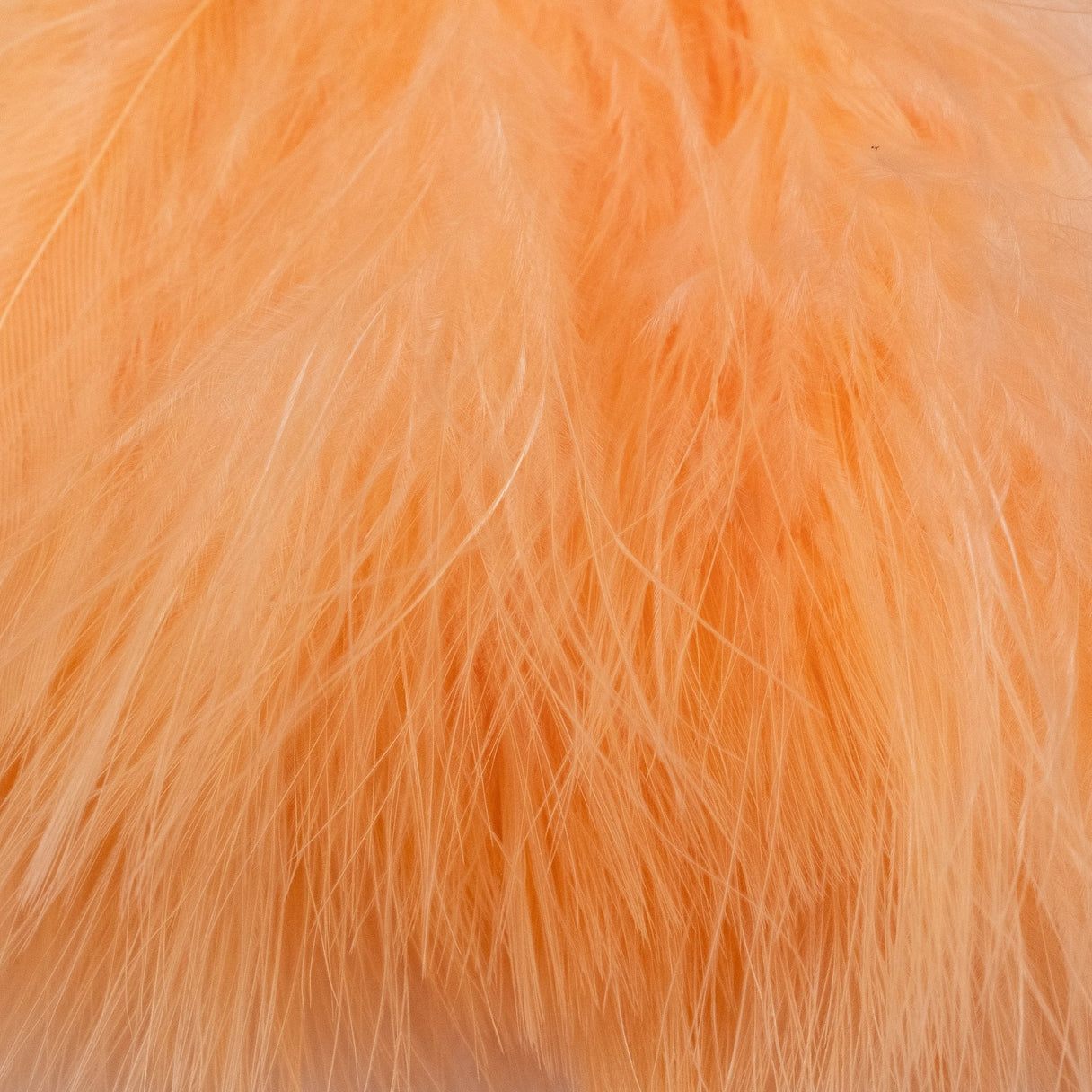 Blood Quill Marabou