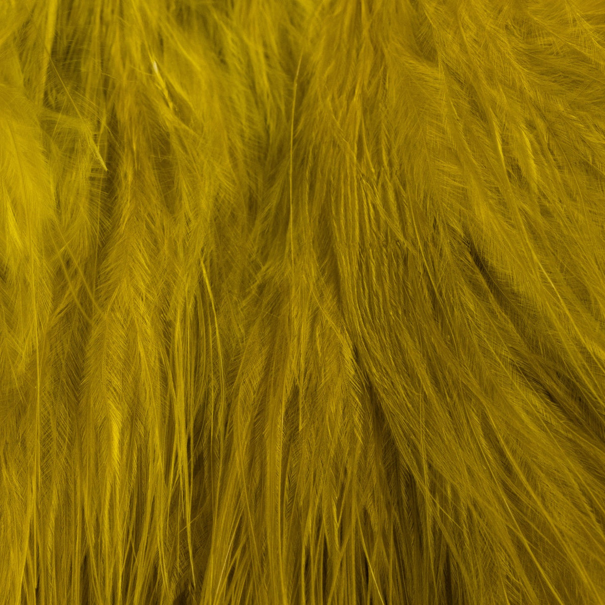 Blood Quill Marabou