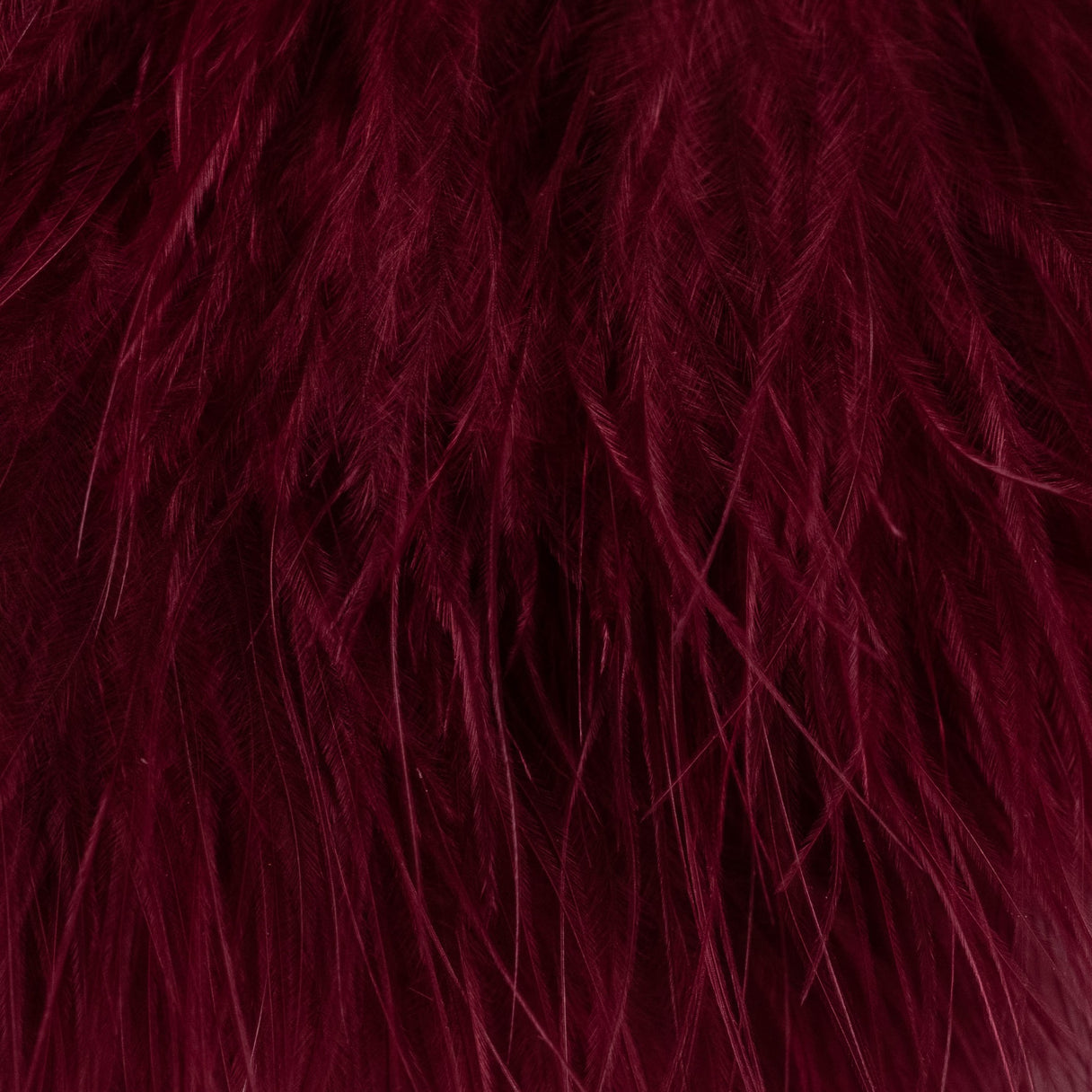 Blood Quill Marabou