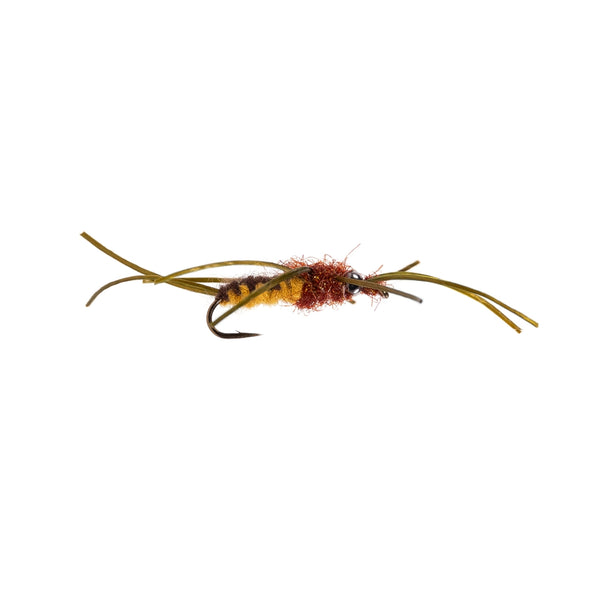 UV Stonefly Candy - Dark Brown/Gold - Size 10