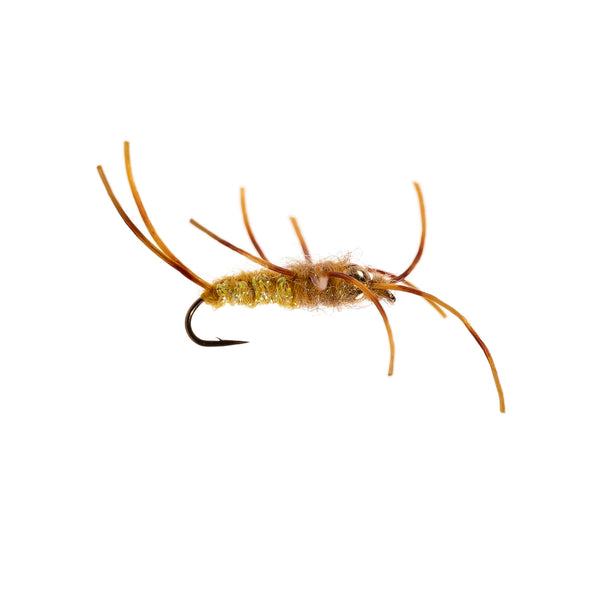 UV Spark Gold Beadhead Stonefly Candy - Size 10