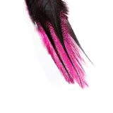 UV2 Coq De Leon Perdigon Fire Tail Feathers