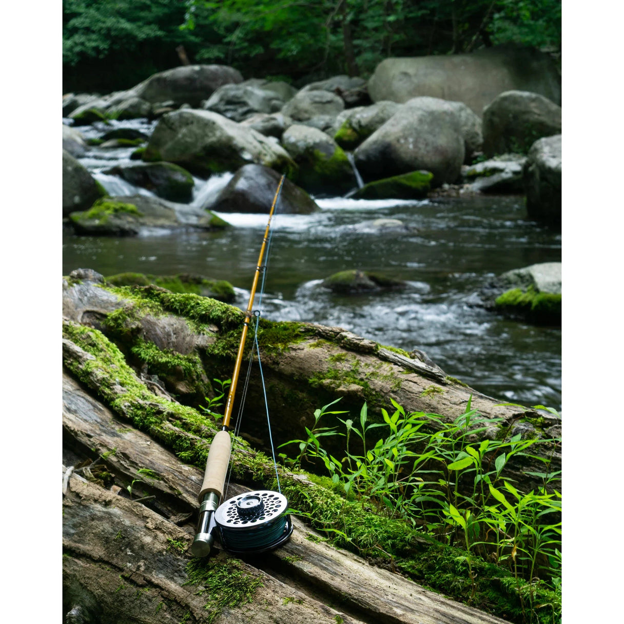 Cortland All Freshwater Fishing Reels for sale