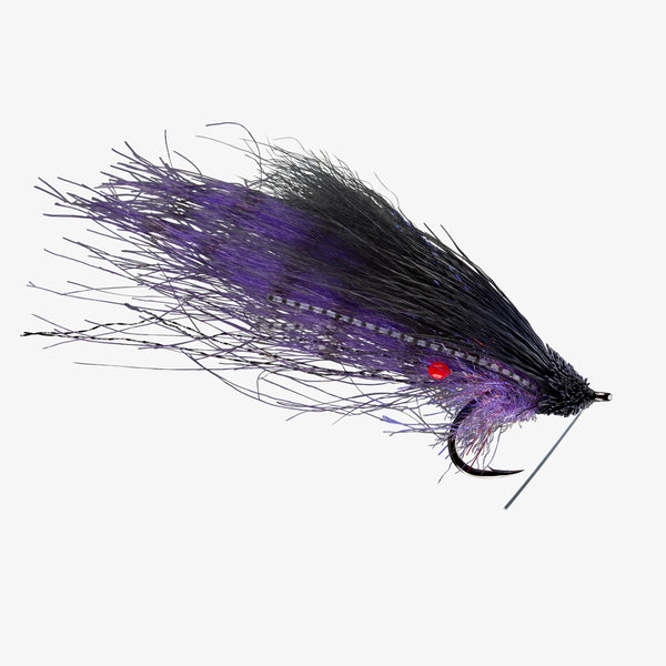 Tarpon aren't the only ones that like black and purple • • • #redfish  #chucktown #saltlife #follybeach #flies #bigfish #fishing #