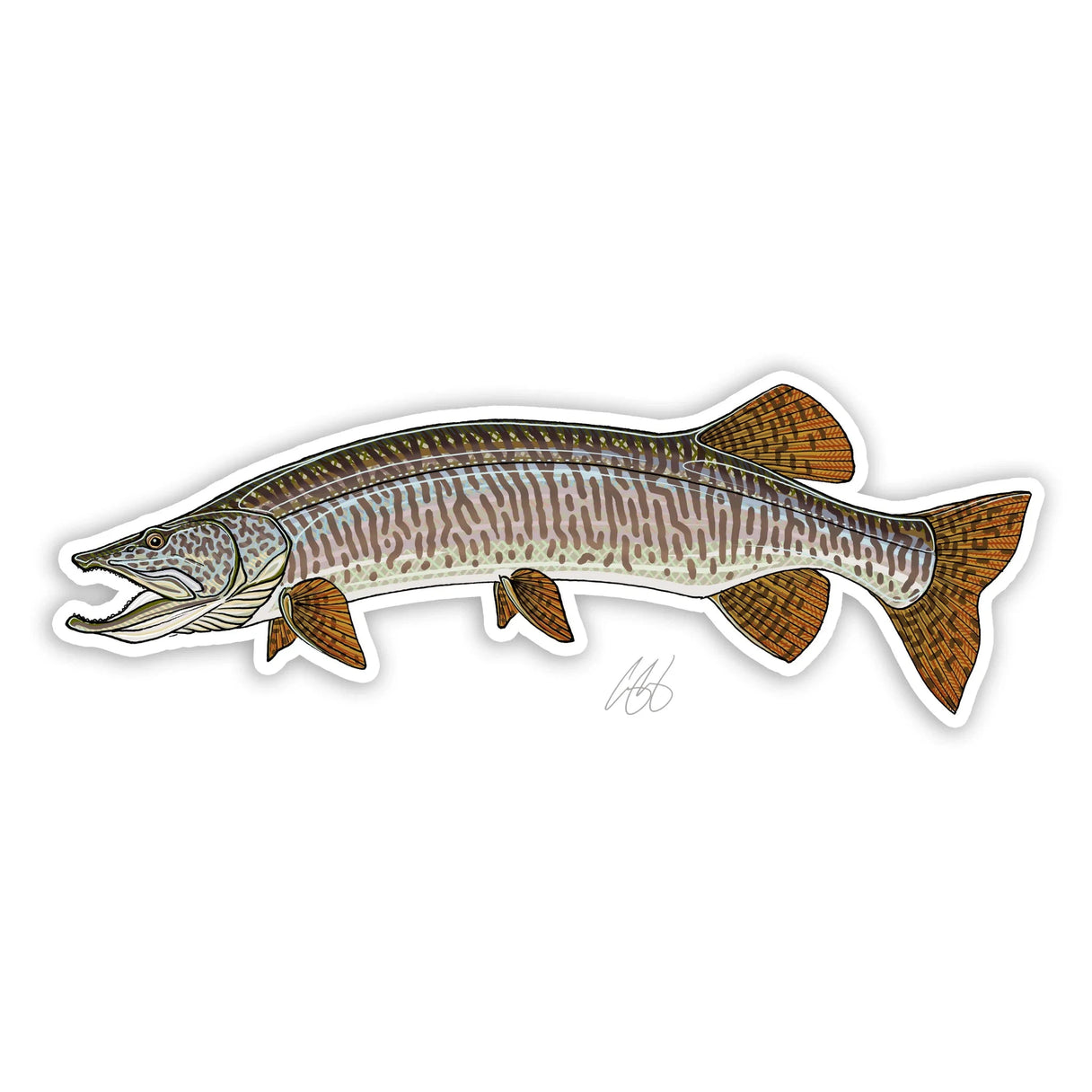 Muskie Fish Fishing - 12 Vinyl Sticker Waterproof Decal 