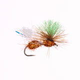 Hi-Vis Flying Ant - Rust - Size 14