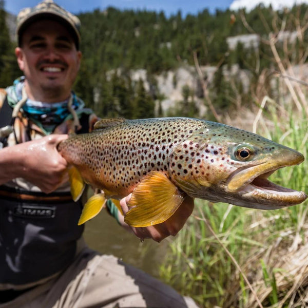 Jake Wells - Montana Dry Fly Combo