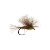 Elden's CDC BWO Emerger - Size 18